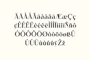 The Knight Machine Serif Font, a Serif Font by UICreative (Thumbnail 5 of 13)
