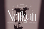 Neittgan Elegant Ligature Serif Font, a Serif Font by Perfectype (Thumbnail 1 of 6)
