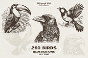 260 Birds Illustrations, an Animal Illustration by Nocturnal Wolf (Thumbnail 1 of 13)