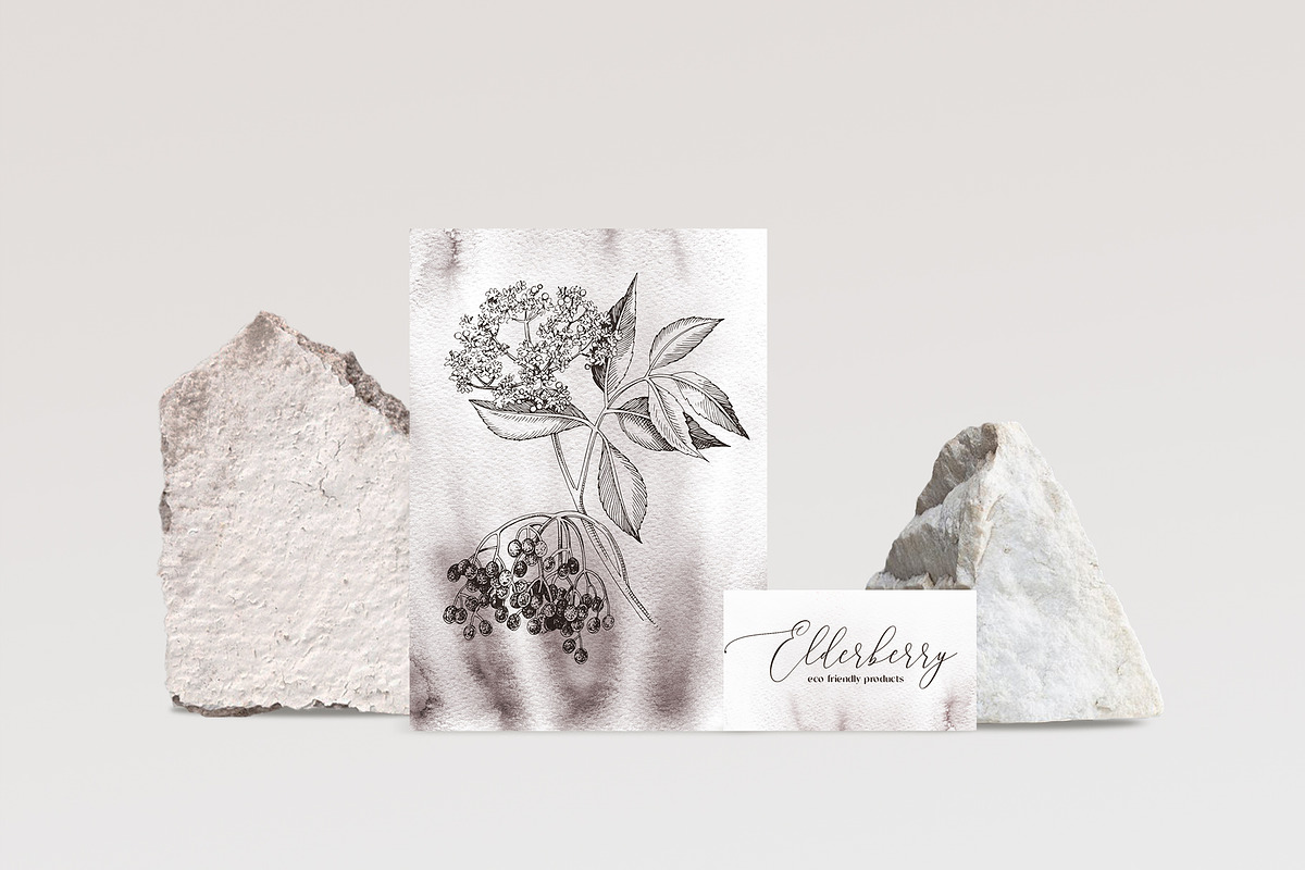 Medicinal plants collection, a Healthcare Illustration by handsketched (Photo 5 of 9)