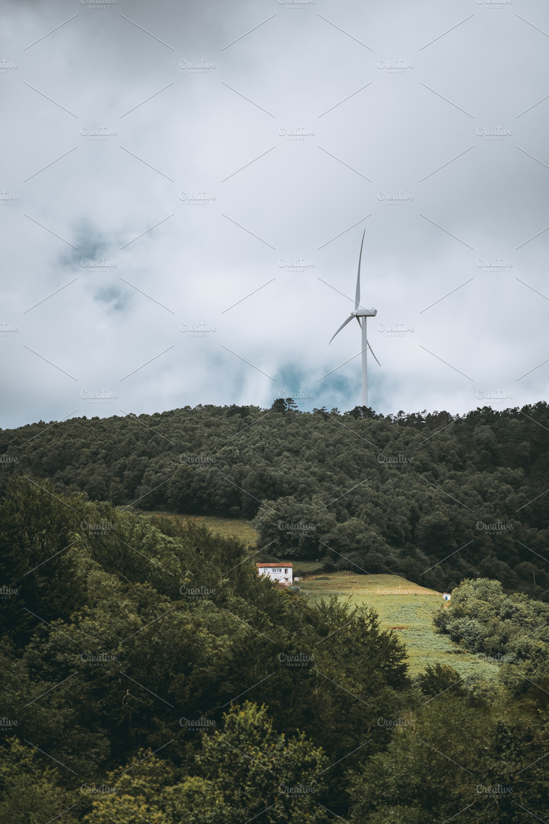 Wind turbine over forest and house, an Industrial Photo by SkyNext