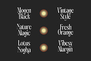 Aligner Tall Modern Serif Display, a Serif Font by timelesstype.co (Thumbnail 10 of 20)