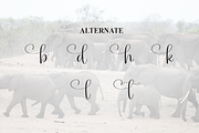 Elephant | Script Font, a Handwritten Font by Scratchones (Thumbnail 8 of 9)