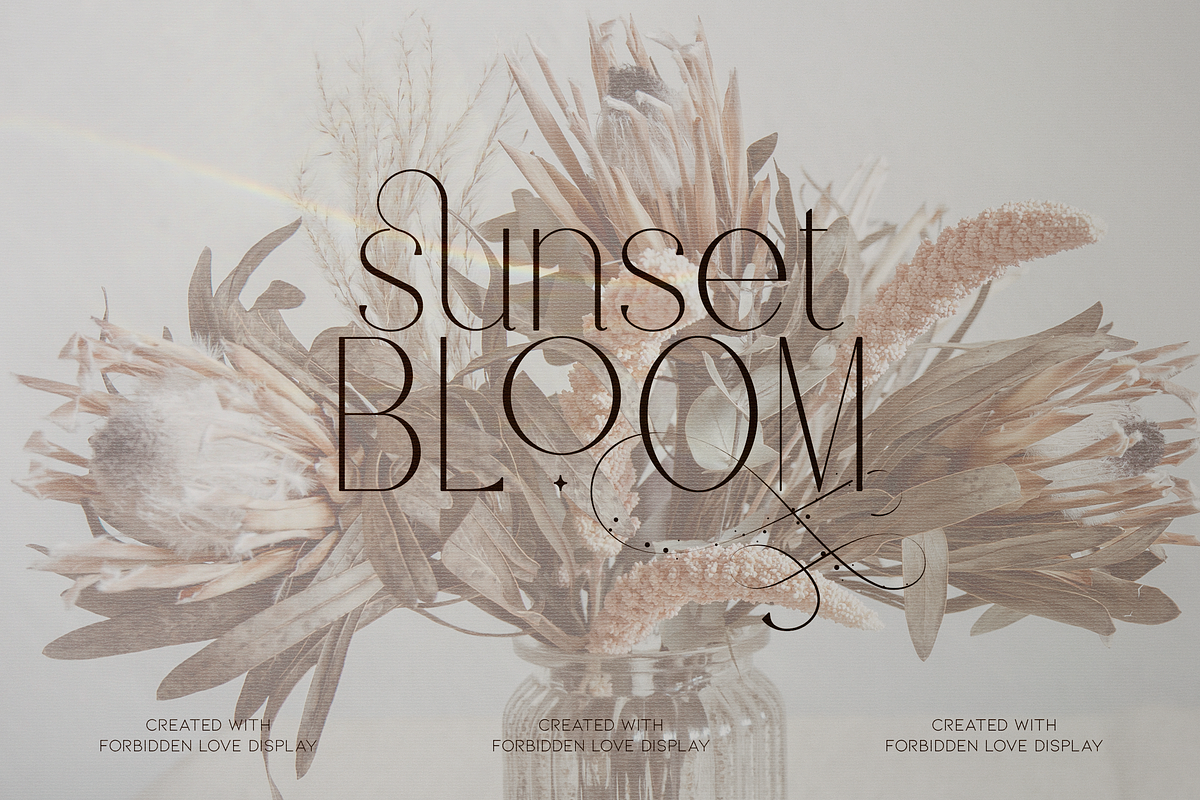 Forbidden Love - Display Font, a Serif Font by VP Fonts (Photo 10 of 20)