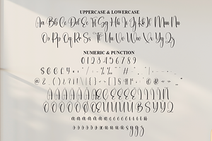 Bestival Script Font