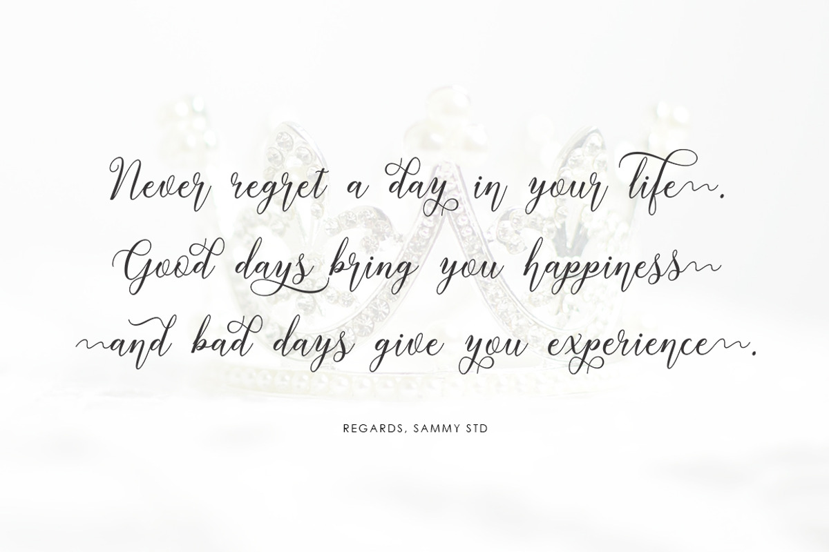 Gastine Script, a Script Font by Sammy Std (Photo 9 of 15)