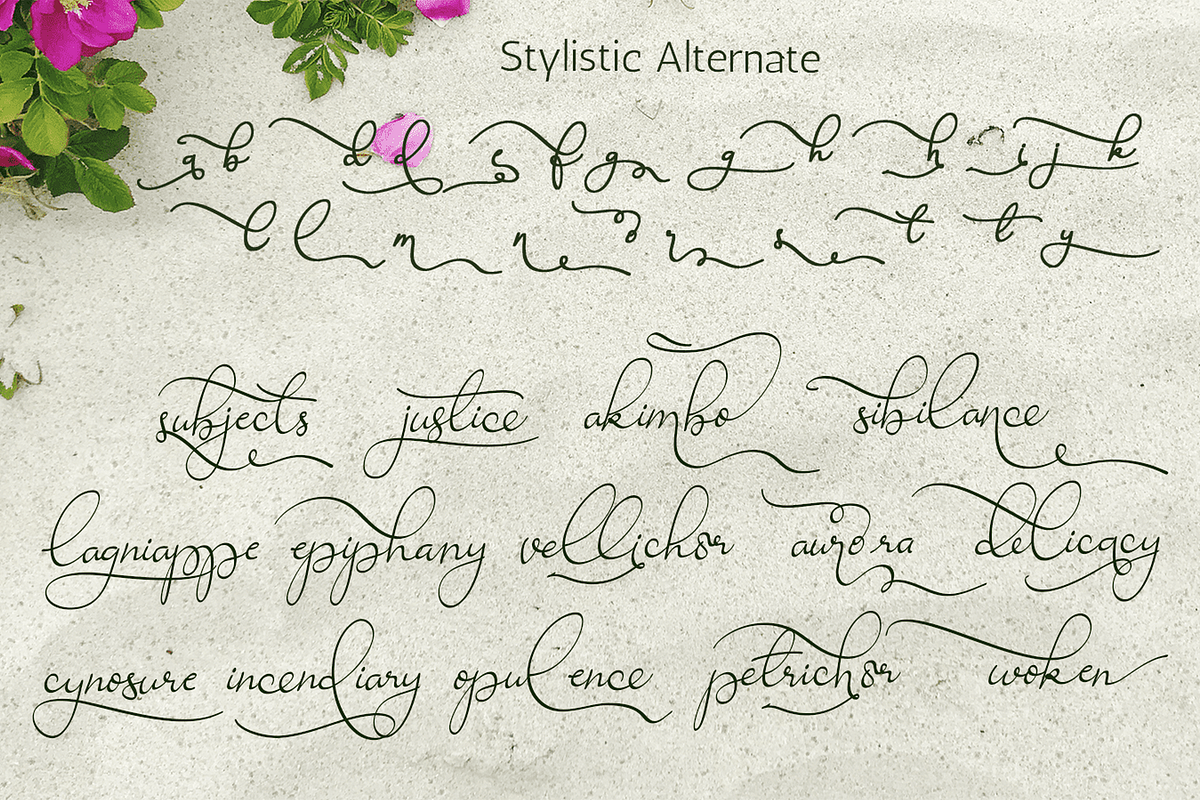 Ravishing Solidago Font, a Handwritten Font by Letterhanna Studio (Photo 20 of 21)
