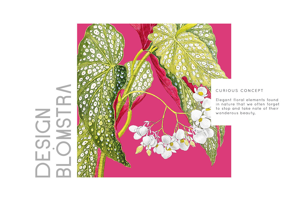 Blómstra, Luxury Spring 2021 Prints!, a Pattern Graphic by Pink Linen (Photo 12 of 14)