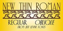 New Thin Roman JNL