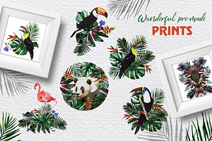 Tropical Jungle Watercolor Png