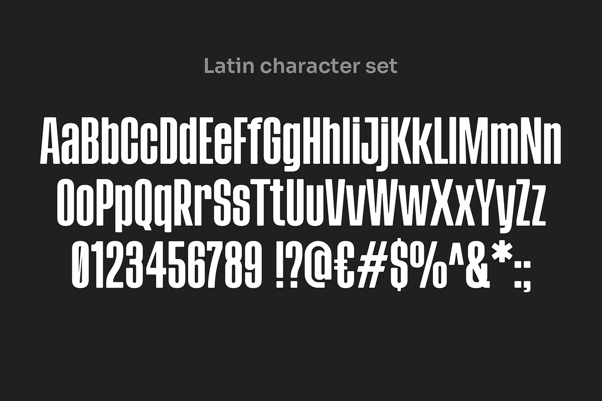 ChellyBinsk - Bold Condensed, a Sans Serif Font by Vicky's Place (Photo 2 of 8)