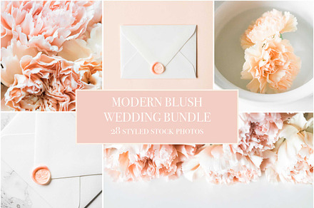 Modern Blush Wedding Bundle 
