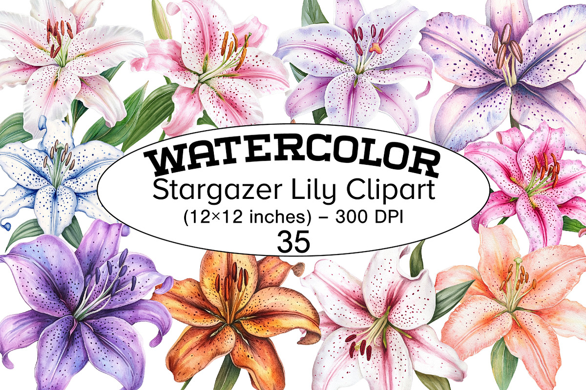 Watercolor Stargazer Lily Clipart, a Seasonal Illustration by Design Market