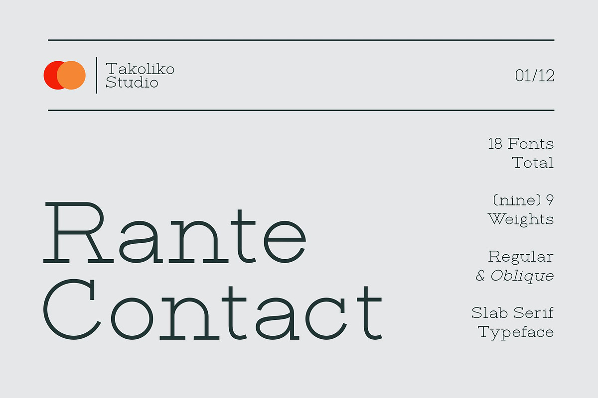 Rante Contact, a Slab Serif Font by takoliko (Photo 1 of 12)