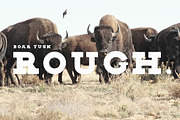 BOAR TUSK Font Family, a Slab Serif Font by Zone 6 (Thumbnail 7 of 8)