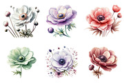 Anemone Flower Bloom Clipart, an Illustration by DreamArtGraphic (Thumbnail 2 of 4)