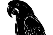 Bird Silhouettes Flying Sideways, an Animal Illustration by Designer_Momina (Thumbnail 7 of 21)