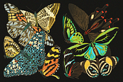 E.A. Séguy HQ Clipart Bundle, an Animal Illustration by Digital Museum (Thumbnail 5 of 10)