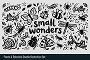 Plants & Botanical Hand-drawn Doodle, an Object Illustration by Huza Studio (Thumbnail 5 of 10)