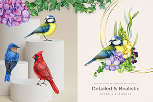 Garden Birds Watercolor Painted Set