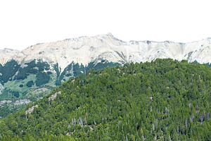 Forest and snowy mountains landscape isolated photo, a Nature Photo by DanFLCreativo