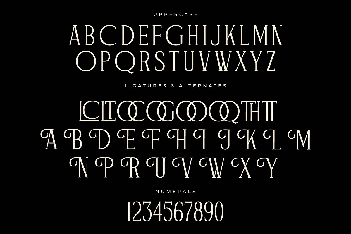 Figurlce A Display Serif Font, a Serif Font by Storytype Studio (Photo 13 of 15)