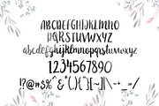 Anemone Script, a Handwritten Font by supfonts (Thumbnail 5 of 9)