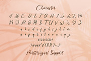 The Austin - Handwritten Script Font, a Script Font by StringLabs (Thumbnail 10 of 11)