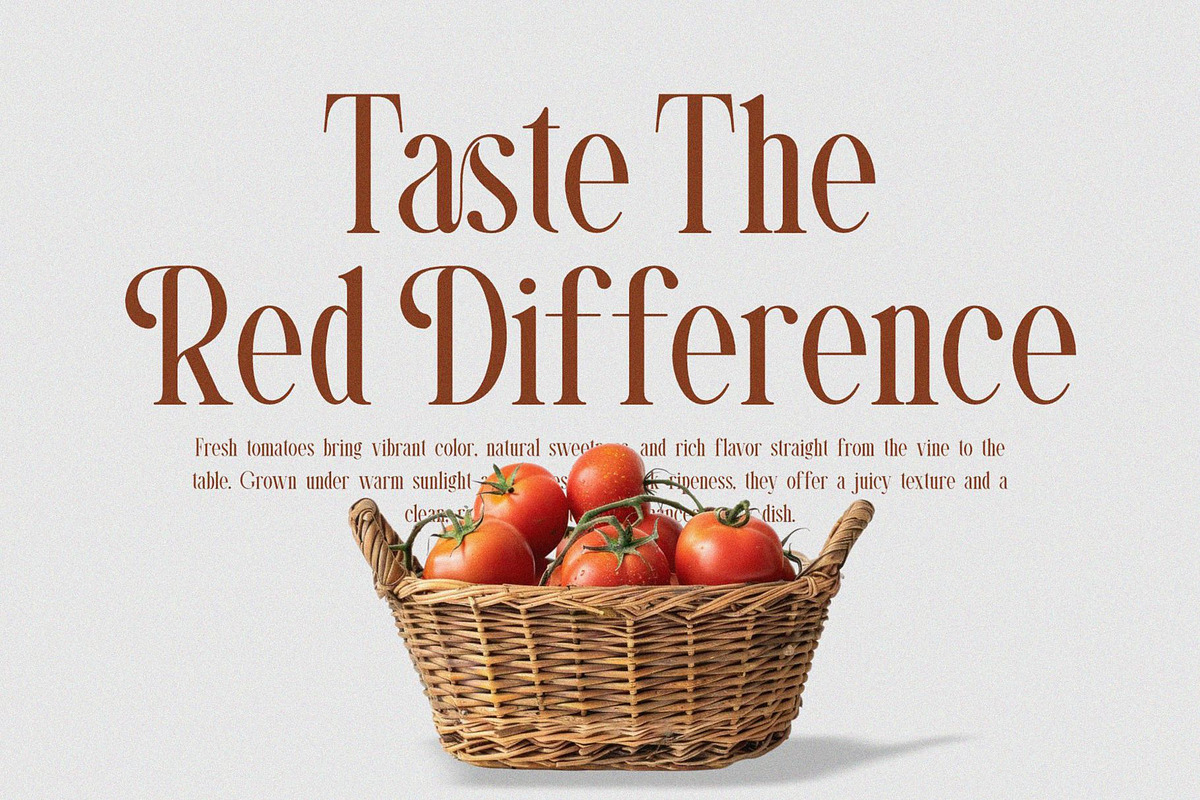 Vesora || Modern Classy Serif Font, a Serif Font by Ermedia Studio (Photo 9 of 10)