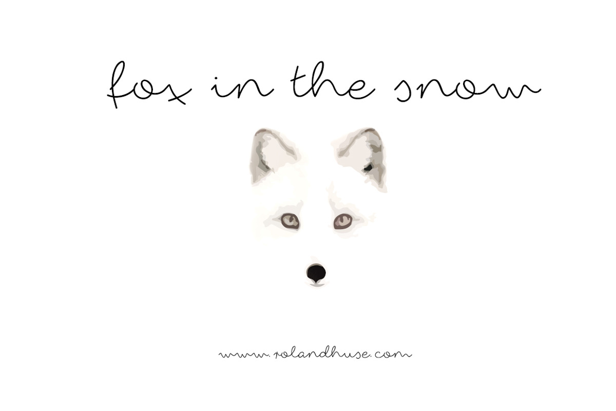fox in the snow
