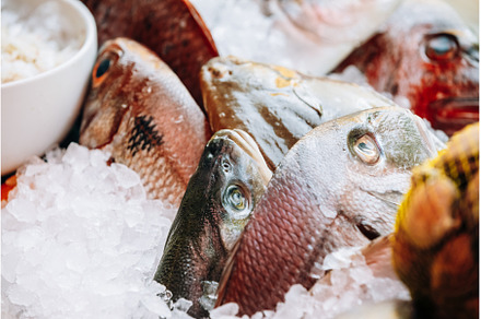 Delicious fresh fish on ice on, a Food & Drink Photo by Our Amazing World