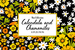 Сalendula and chamomile