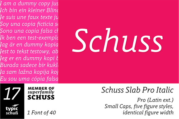 SchussSlabProItalic No.17 (1 Font) preview 7