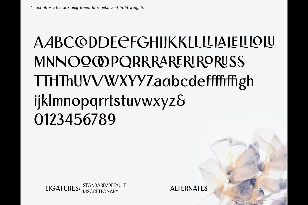 Saphion- Vintage Display Typeface, a Sans Serif Font by Lurinzu Studios (Photo 3 of 9)