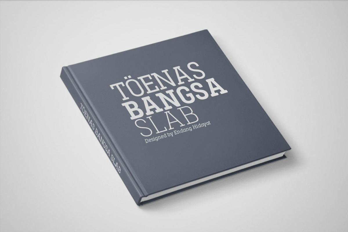Toenas Bangsa Font Family, a Slab Serif Font by Bang Kumis Typefoundry (Photo 6 of 8)