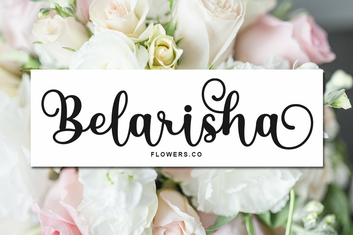 Berlyn Script, a Script Font by Bosstype Studio (Photo 6 of 8)