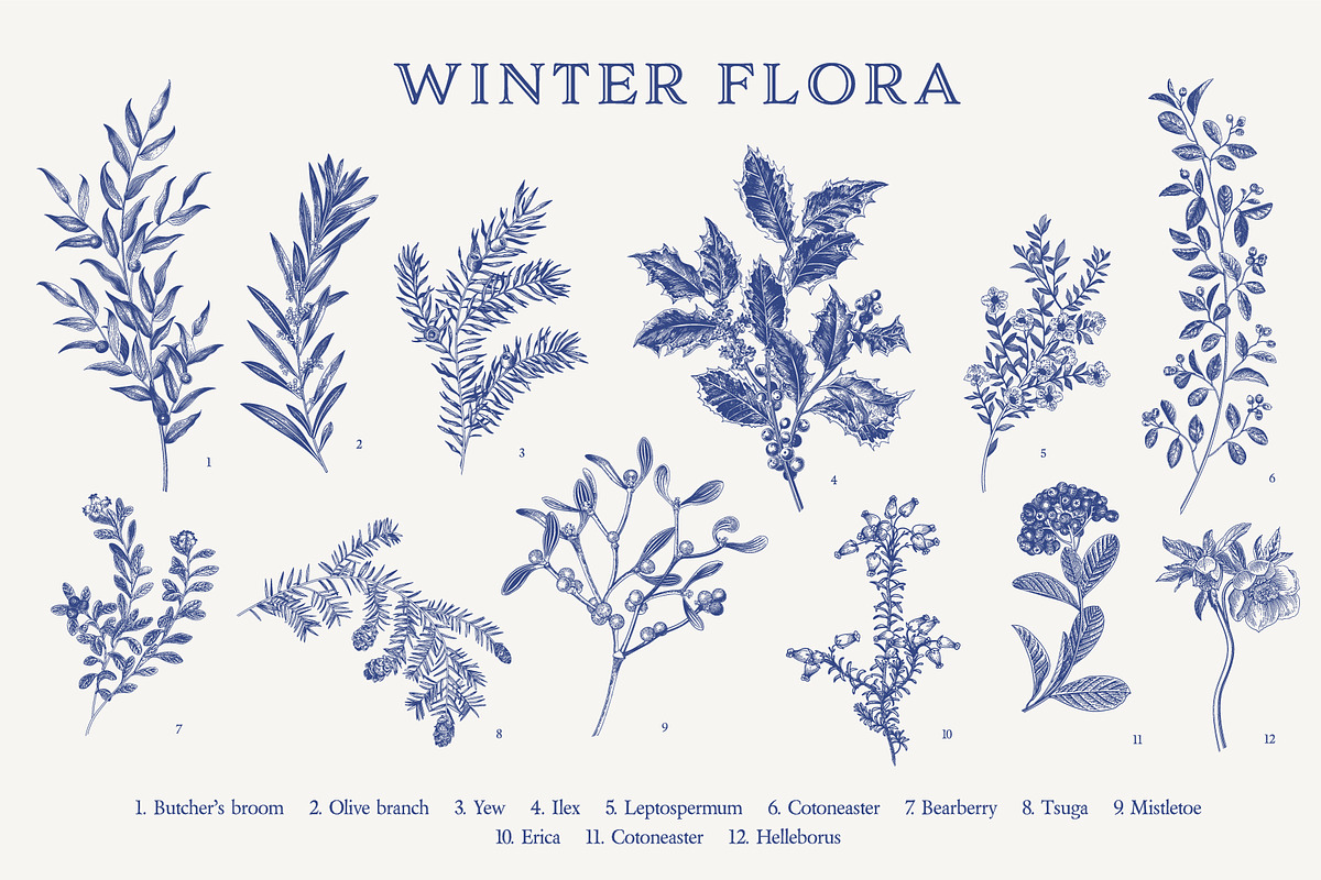 Christmas dreams. Blue & white, a Seasonal Illustration by olga.korneeva (Photo 2 of 12)