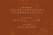 Brown Elegant Serif Display Font, a Serif Font by Graphicxell (Thumbnail 7 of 8)