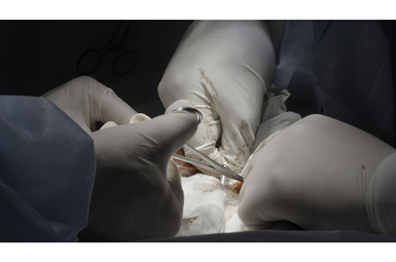 The work of a surgeon and his, a Technology Photo by Media Whale Stock