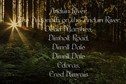 Celtic Script Font 'Moria', a Font by FontMasons (Thumbnail 2 of 3)