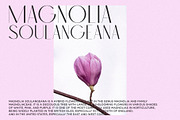 Classica - Modern Sans Serif, a Sans Serif Font by Misha Sova (Thumbnail 4 of 10)