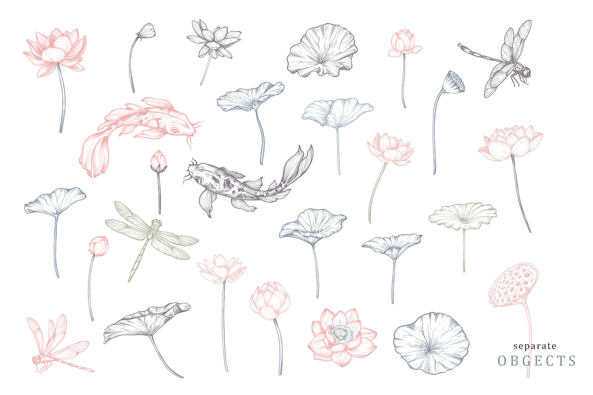 Lotus Blossom Vector Collection, a Pattern Graphic by Molly art (Photo 2 of 16)
