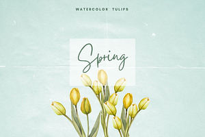 Spring Whispers - Watercolor Tulips