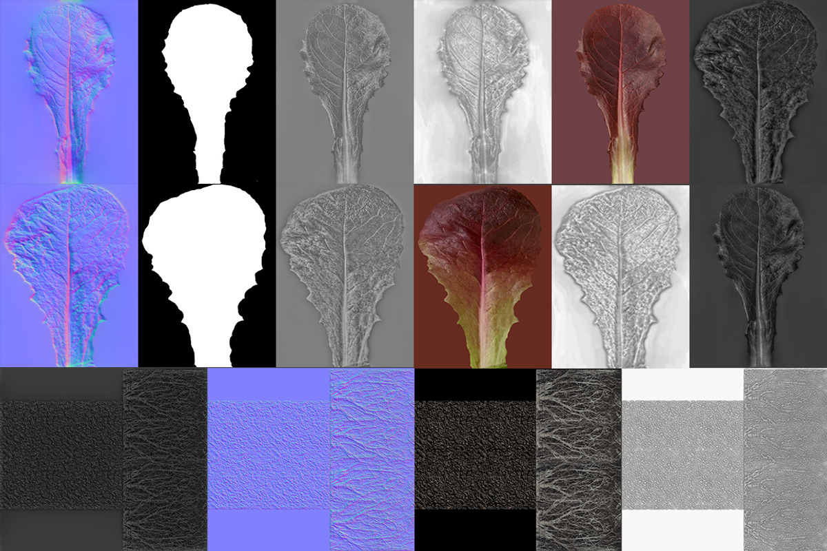 Hydroponics system LG, an Environmental 3D Model by AndrewWhite (Photo 3 of 17)