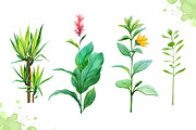 Watercolor tropical leaves set#2., a Decorative Illustration by AlexGreenArt (Thumbnail 4 of 7)