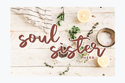 Vacation Modern Script Font, a Script Font by Giant Design (Thumbnail 7 of 10)