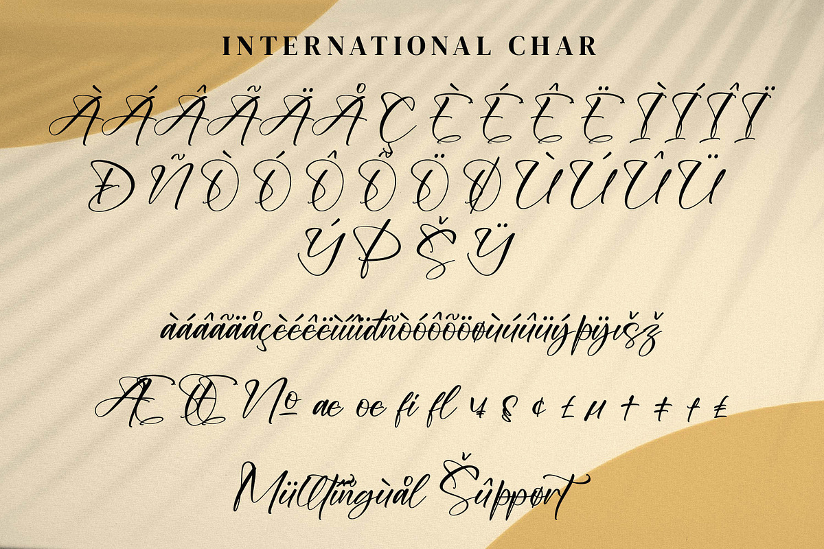 Onadia, a Script Font by Integritype Studio (Photo 10 of 15)