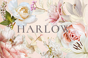 Harlow Floral Art Collection, an Object Graphic by Eclectic Anthology (Thumbnail 13 of 13)