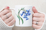 Watercolor Blue Meadow Flowers Clipa, an Illustration by Sublimation Artist (Thumbnail 5 of 6)