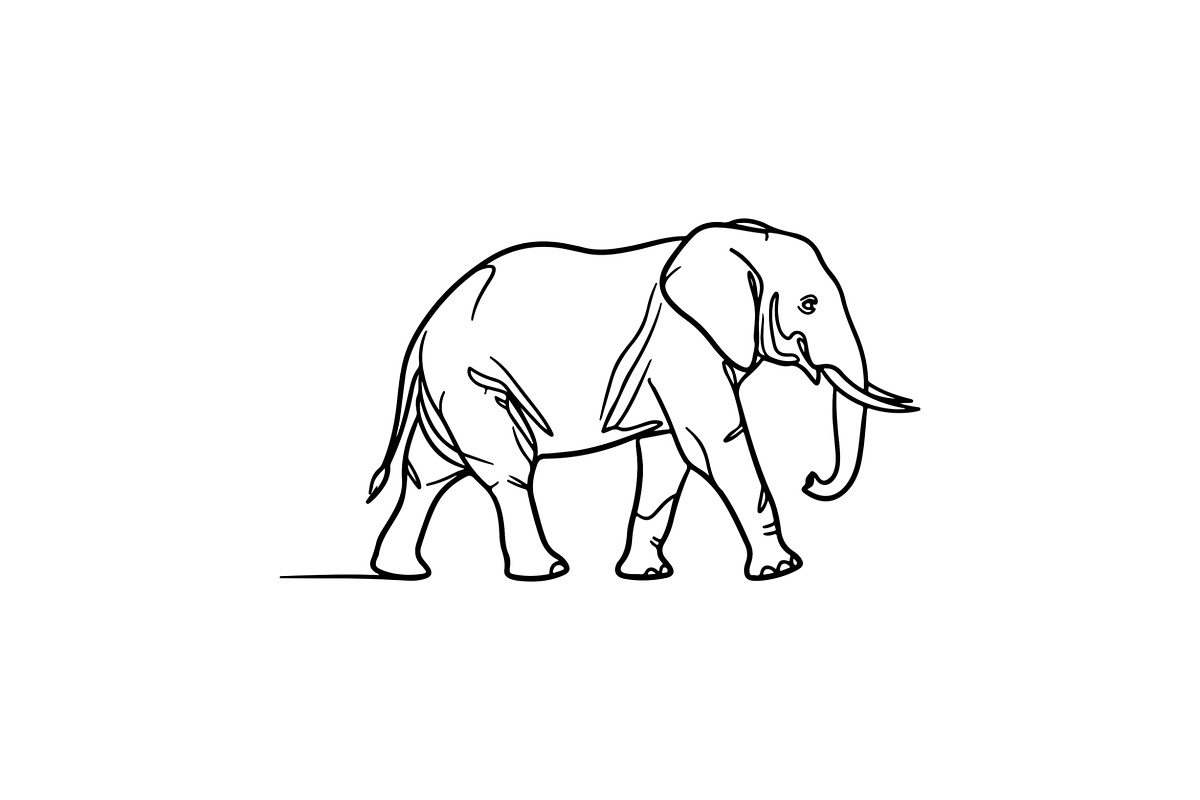 Elephant Vector Elements Bundle, an Animal Illustration by balal (Photo 13 of 17)